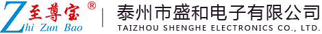 泰州市盛和电子有限公司